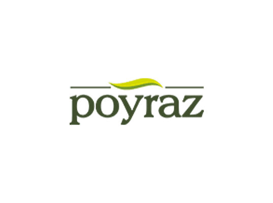 Poyraz logosu